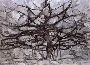 Piet Mondrian Grey tree oil painting artist